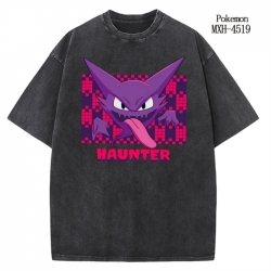 Pokemon Anime peripheral pure ...