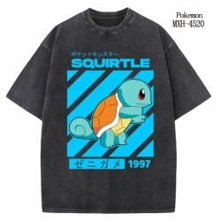 Pokemon Anime peripheral pure ...
