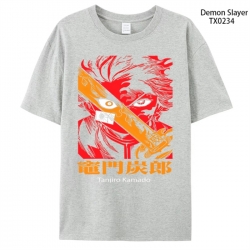 Demon Slayer Kimets Anime peri...