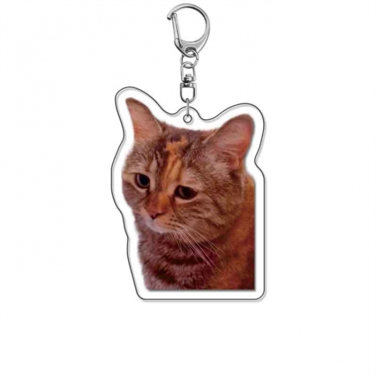 Cute Cat Emoji Anime Acrylic Keychain Charm price for 5 pcs
