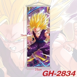 DRAGON BALL Plastic Rod Cloth ...