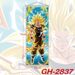 DRAGON BALL Plastic Rod Cloth ...