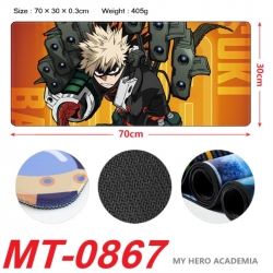 My Hero Academia Anime periphe...