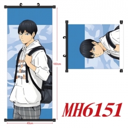 Haikyuu!! Anime black Plastic ...