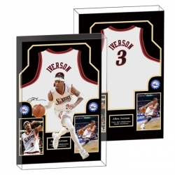 IVERSON Anime game acrylic car...