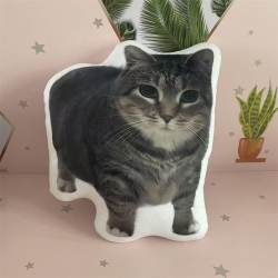 Oiiaioooooiai Anime double-sid...