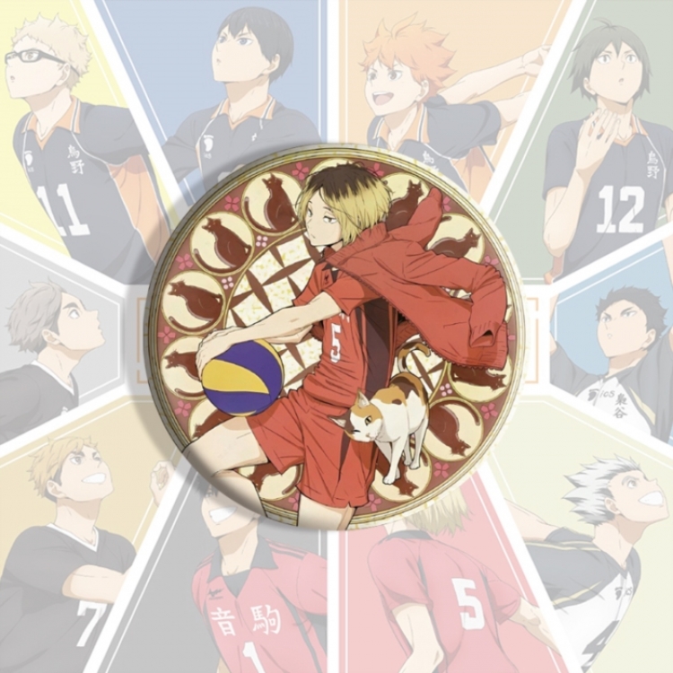 Haikyuu!! Anime tinplate brooch badge price for 5 pcs