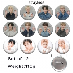 Straykids Anime tinplate brigh...