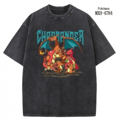 Pokemon Anime peripheral pure ...