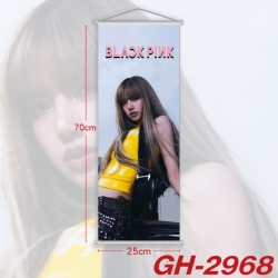 BLACK PINK Plastic Rod Cloth S...