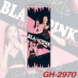 BLACK PINK Plastic Rod Cloth S...