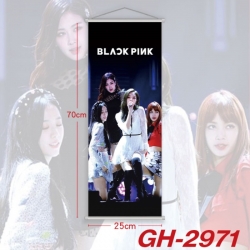 BLACK PINK Plastic Rod Cloth S...