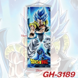 DRAGON BALL Plastic Rod Cloth ...