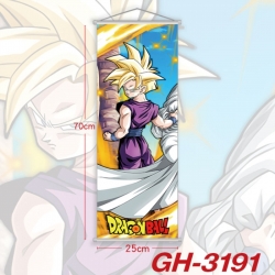 DRAGON BALL Plastic Rod Cloth ...
